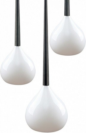 Подвесной светильник Lightstar Forma 808230 в Камышлове - kamyshlov.mebel24.online | фото 3