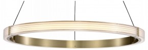 Подвесной светильник Lightstar Rotonda 736261 в Камышлове - kamyshlov.mebel24.online | фото
