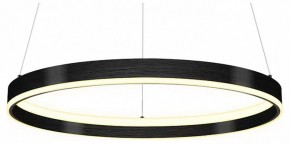 Подвесной светильник Lightstar Rotonda 736407 в Камышлове - kamyshlov.mebel24.online | фото