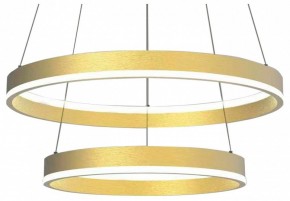 Подвесной светильник Lightstar Rotonda 736422 в Камышлове - kamyshlov.mebel24.online | фото