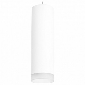 Подвесной светильник Lightstar Rullo RP649680 в Камышлове - kamyshlov.mebel24.online | фото 2