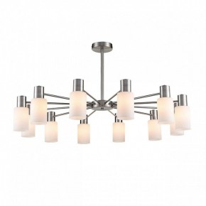 Подвесной светильник Lumion Mave 8099/12C в Камышлове - kamyshlov.mebel24.online | фото 2