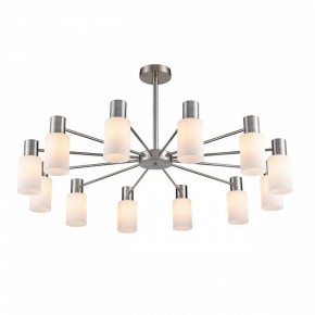 Подвесной светильник Lumion Mave 8099/12C в Камышлове - kamyshlov.mebel24.online | фото 3