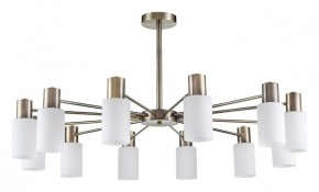 Подвесной светильник Lumion Mave 8100/12C в Камышлове - kamyshlov.mebel24.online | фото