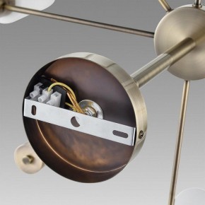 Подвесной светильник Lumion Mave 8100/12C в Камышлове - kamyshlov.mebel24.online | фото 6