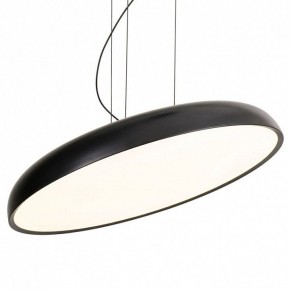 Подвесной светильник Lussole Crook LSP-7360 в Камышлове - kamyshlov.mebel24.online | фото