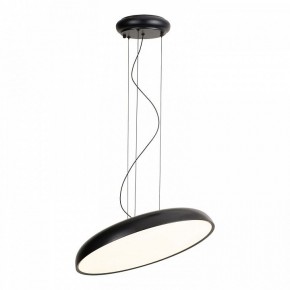 Подвесной светильник Lussole Crook LSP-7360 в Камышлове - kamyshlov.mebel24.online | фото 2