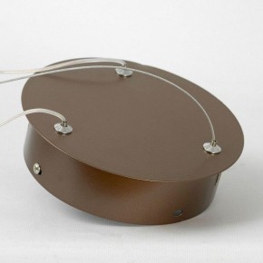 Подвесной светильник Lussole Dade LSP-7250 в Камышлове - kamyshlov.mebel24.online | фото 5