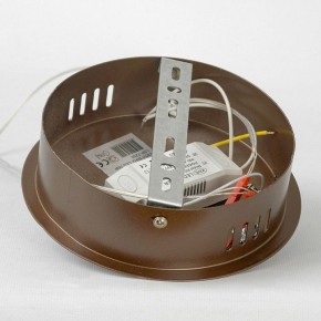 Подвесной светильник Lussole Dade LSP-7250 в Камышлове - kamyshlov.mebel24.online | фото 6