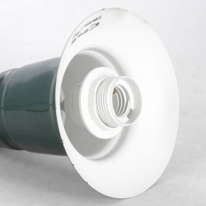 Подвесной светильник Lussole  LSP-8974 в Камышлове - kamyshlov.mebel24.online | фото 3