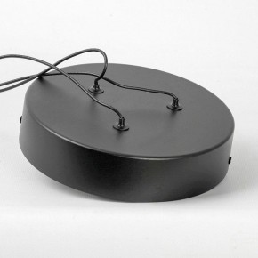 Подвесной светильник Lussole Taylor LSP-7235 в Камышлове - kamyshlov.mebel24.online | фото 6