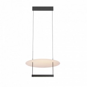 Подвесной светильник Maytoni Ambience MOD280PL-L23B3K1 в Камышлове - kamyshlov.mebel24.online | фото 3