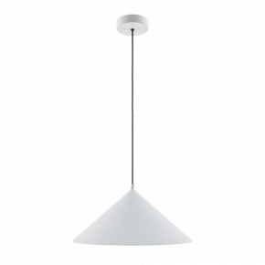 Подвесной светильник Maytoni Basic colors MOD167PL-01W в Камышлове - kamyshlov.mebel24.online | фото 2
