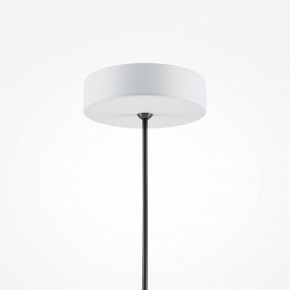 Подвесной светильник Maytoni Basic colors MOD167PL-01W в Камышлове - kamyshlov.mebel24.online | фото 5