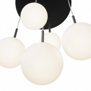 Подвесной светильник Maytoni Basic form MOD321PL-05B в Камышлове - kamyshlov.mebel24.online | фото