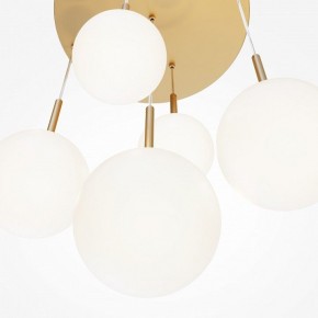 Подвесной светильник Maytoni Basic form MOD321PL-05G1 в Камышлове - kamyshlov.mebel24.online | фото 3