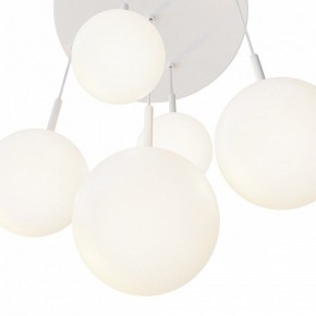 Подвесной светильник Maytoni Basic form MOD321PL-05W в Камышлове - kamyshlov.mebel24.online | фото 7