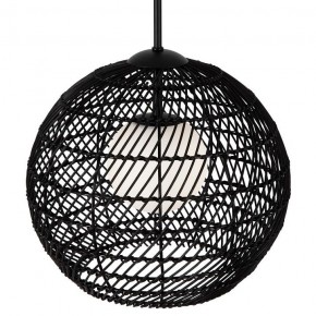 Подвесной светильник Maytoni CANE MOD204PL-01B1 в Камышлове - kamyshlov.mebel24.online | фото 2