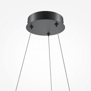 Подвесной светильник Maytoni Curve MOD241PL-L60BK в Камышлове - kamyshlov.mebel24.online | фото 6