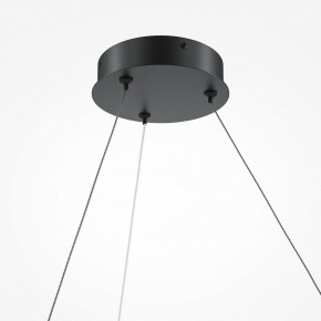 Подвесной светильник Maytoni Curve MOD242PL-L33BK в Камышлове - kamyshlov.mebel24.online | фото 5