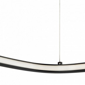 Подвесной светильник Maytoni Glint MOD072PL-L28B3K в Камышлове - kamyshlov.mebel24.online | фото 5