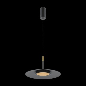 Подвесной светильник Maytoni Halo MOD041PL-L15B3K1 в Камышлове - kamyshlov.mebel24.online | фото 4