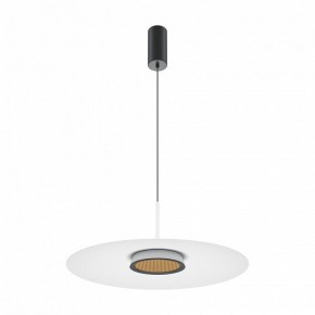 Подвесной светильник Maytoni Halo MOD041PL-L15W3K1 в Камышлове - kamyshlov.mebel24.online | фото 2