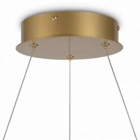 Подвесной светильник Maytoni Halo MOD100PL-L47BSK1 в Камышлове - kamyshlov.mebel24.online | фото 6