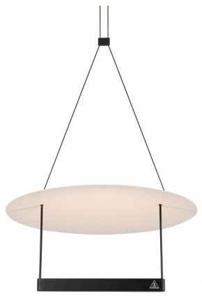 Подвесной светильник Maytoni Halo MOD280PL-L23B3K в Камышлове - kamyshlov.mebel24.online | фото