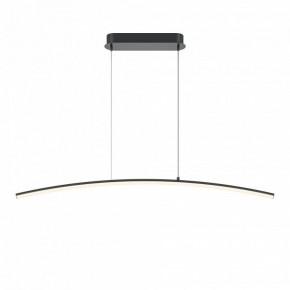 Подвесной светильник Maytoni Light Reflection MOD243PL-L18BK в Камышлове - kamyshlov.mebel24.online | фото 2