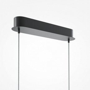 Подвесной светильник Maytoni Light Reflection MOD243PL-L18BK в Камышлове - kamyshlov.mebel24.online | фото 6