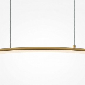 Подвесной светильник Maytoni Light Reflection MOD243PL-L18BSK в Камышлове - kamyshlov.mebel24.online | фото 4