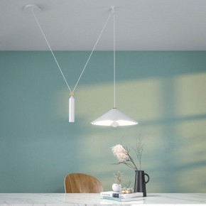 Подвесной светильник Maytoni Peso P080PL-01B в Камышлове - kamyshlov.mebel24.online | фото 5
