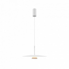 Подвесной светильник Maytoni Platte MOD352PL-L10W3K в Камышлове - kamyshlov.mebel24.online | фото 4