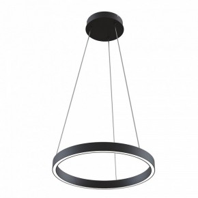 Подвесной светильник Maytoni Rim MOD058PL-L22BK в Камышлове - kamyshlov.mebel24.online | фото 2