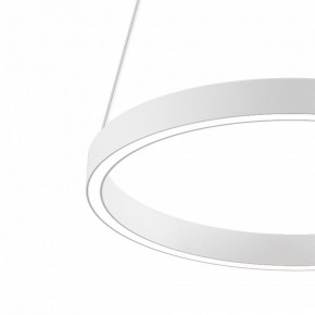 Подвесной светильник Maytoni Rim MOD058PL-L22WK в Камышлове - kamyshlov.mebel24.online | фото 4