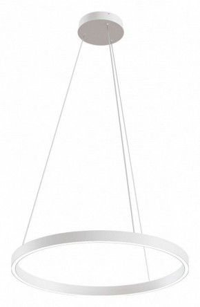 Подвесной светильник Maytoni Rim MOD058PL-L32W4K в Камышлове - kamyshlov.mebel24.online | фото 2