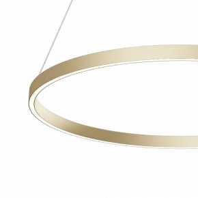 Подвесной светильник Maytoni Rim MOD058PL-L42BSK в Камышлове - kamyshlov.mebel24.online | фото 4