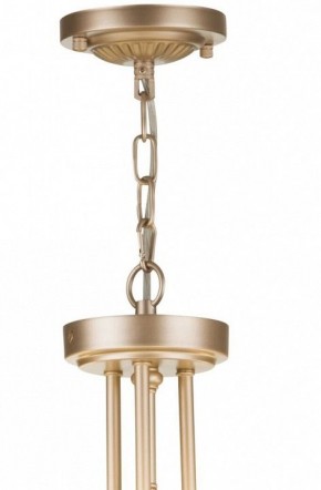 Подвесной светильник Maytoni Roma ARM006PL-06G в Камышлове - kamyshlov.mebel24.online | фото 5