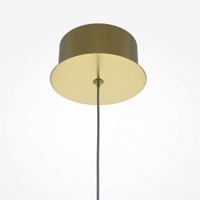 Подвесной светильник Maytoni Splash MOD282PL-L8G3K в Камышлове - kamyshlov.mebel24.online | фото 5