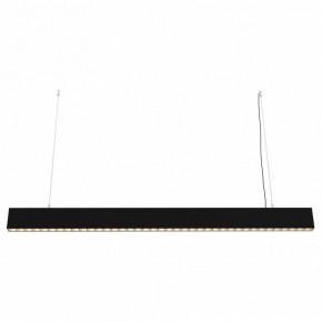 Подвесной светильник Maytoni Vinder P050PL-L40B4K в Камышлове - kamyshlov.mebel24.online | фото 2