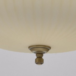 Подвесной светильник MW-Light Афродита 1 317010504 в Камышлове - kamyshlov.mebel24.online | фото 9