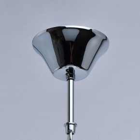 Подвесной светильник MW-Light Жаклин 14 465016104 в Камышлове - kamyshlov.mebel24.online | фото 4