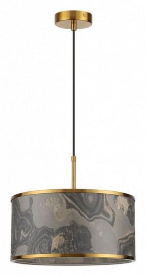 Подвесной светильник Odeon Light Bergi 5064/1 в Камышлове - kamyshlov.mebel24.online | фото 2