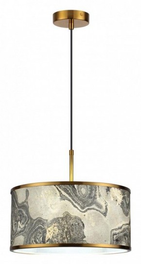 Подвесной светильник Odeon Light Bergi 5064/1 в Камышлове - kamyshlov.mebel24.online | фото 3
