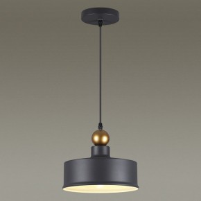 Подвесной светильник Odeon Light Bolli 4088/1 в Камышлове - kamyshlov.mebel24.online | фото 4