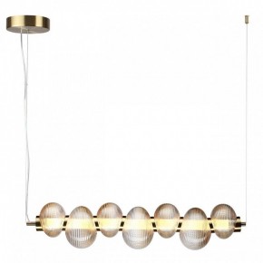 Подвесной светильник Odeon Light Bruco 5095/24L в Камышлове - kamyshlov.mebel24.online | фото 2
