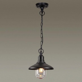 Подвесной светильник Odeon Light Campa 4965/1 в Камышлове - kamyshlov.mebel24.online | фото 2