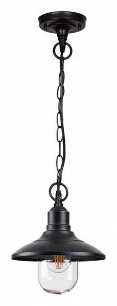 Подвесной светильник Odeon Light Campa 4965/1 в Камышлове - kamyshlov.mebel24.online | фото 3