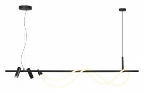Подвесной светильник Odeon Light Corda 4391/40L в Камышлове - kamyshlov.mebel24.online | фото 2